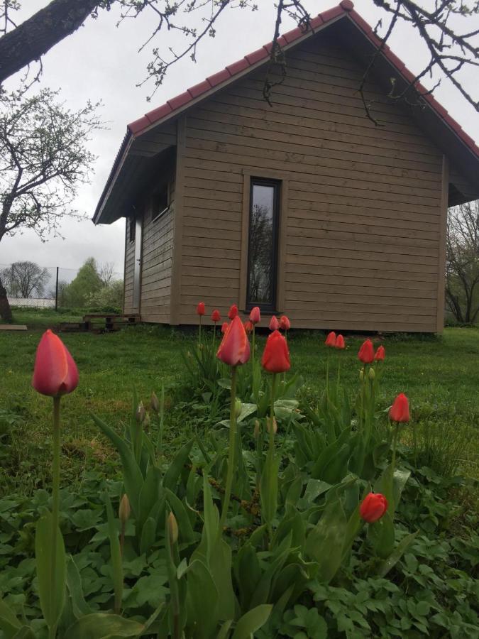 Holiday House Ausekla Namins Cesis Exterior photo